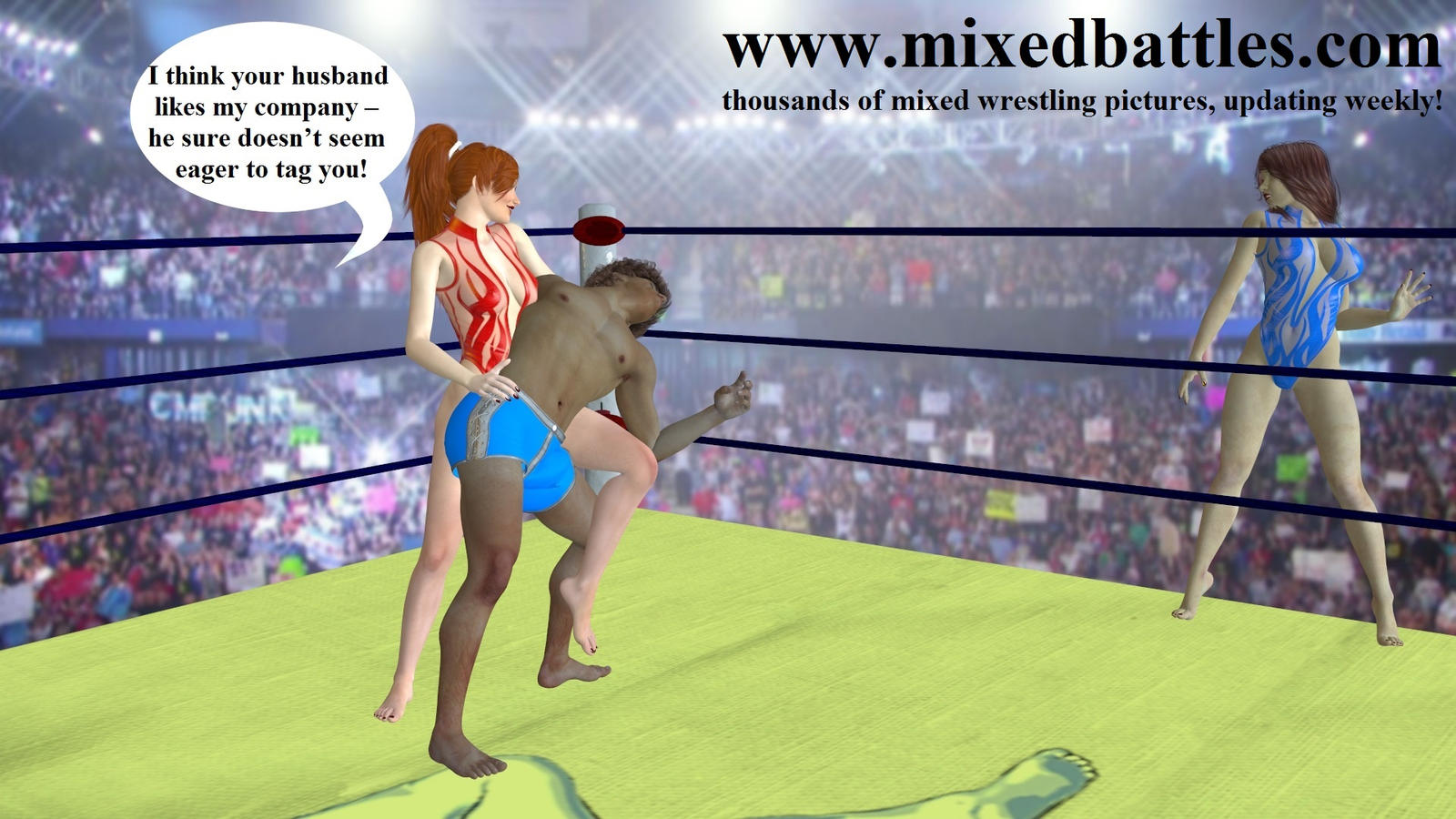 Leotard Clad Girls In Mixed Wrestling Page 2 Freeones Board The