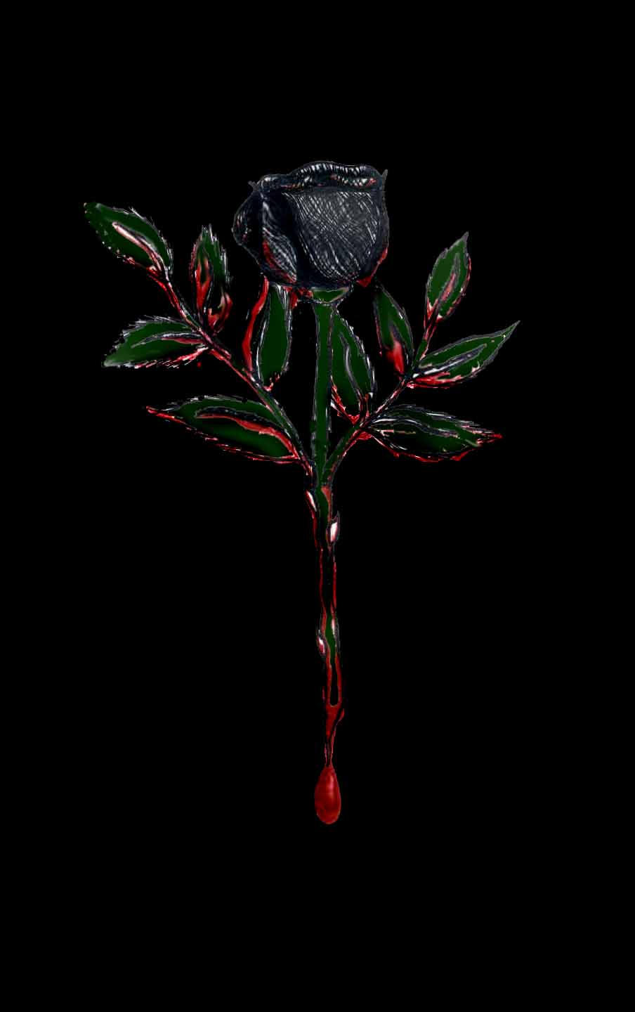 Bleeding Black Rose by creepygoth666 on DeviantArt