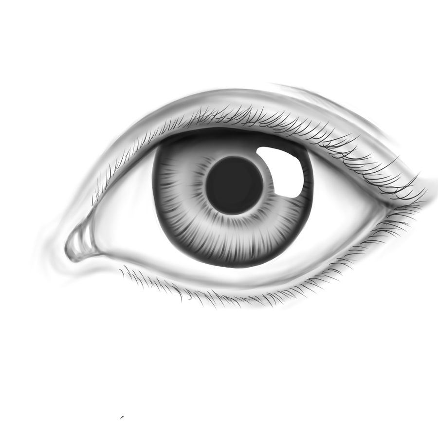 Realistic Eye by Appletumble on DeviantArt