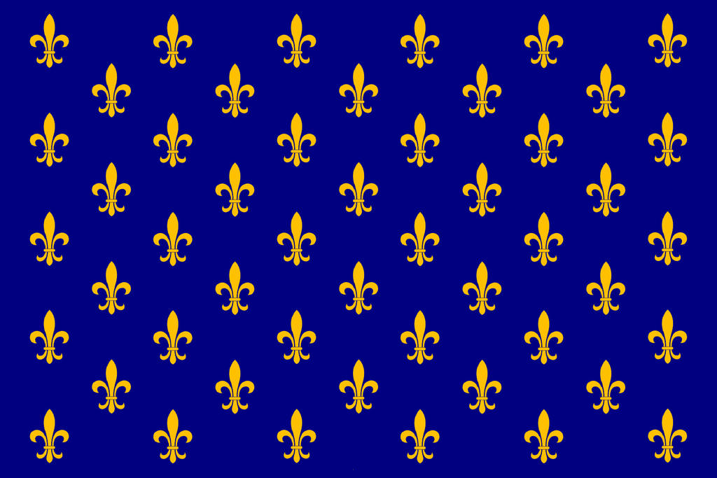 flag_of_the_kingdom_of_france_by_trustno...609pqq.jpg
