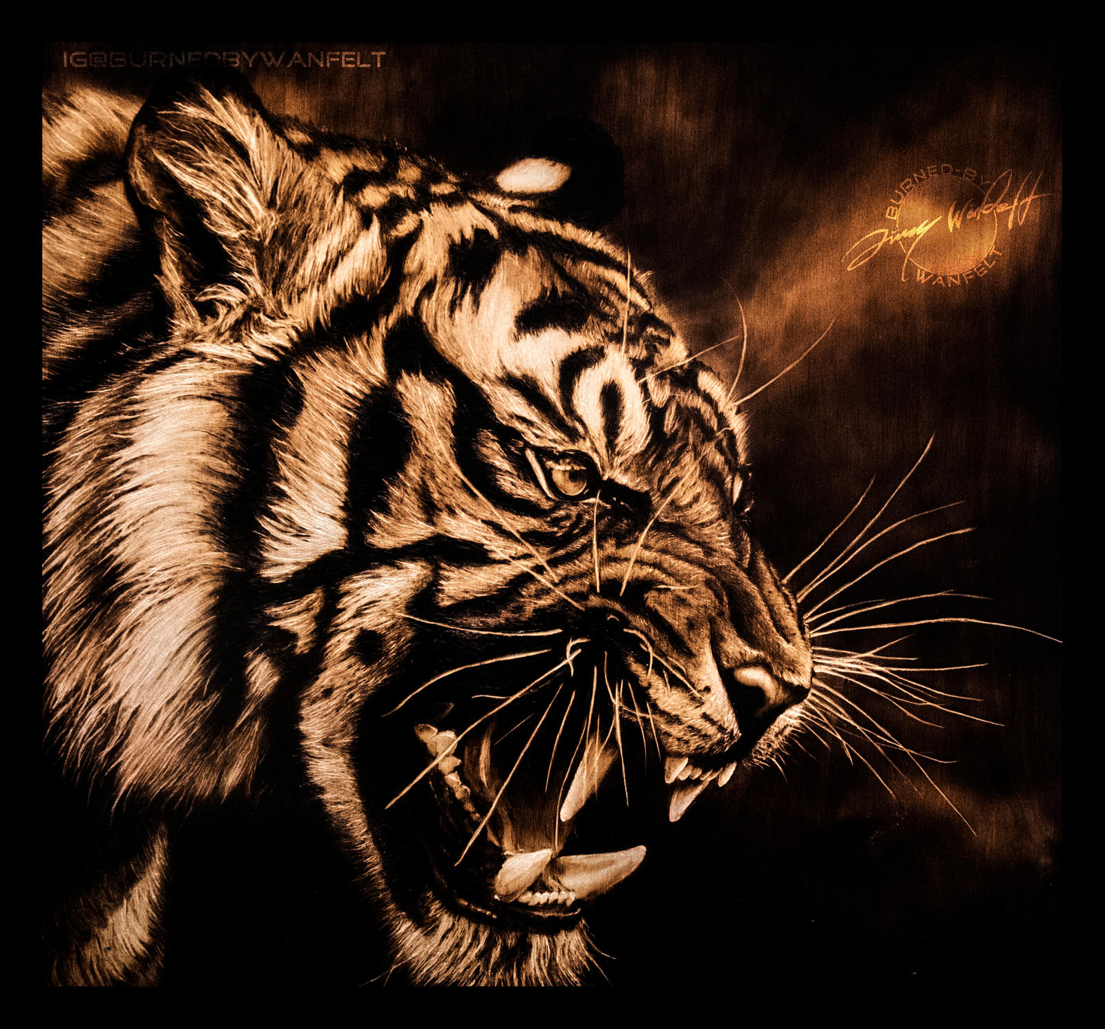 Tiger on fire by MuppZA on DeviantArt