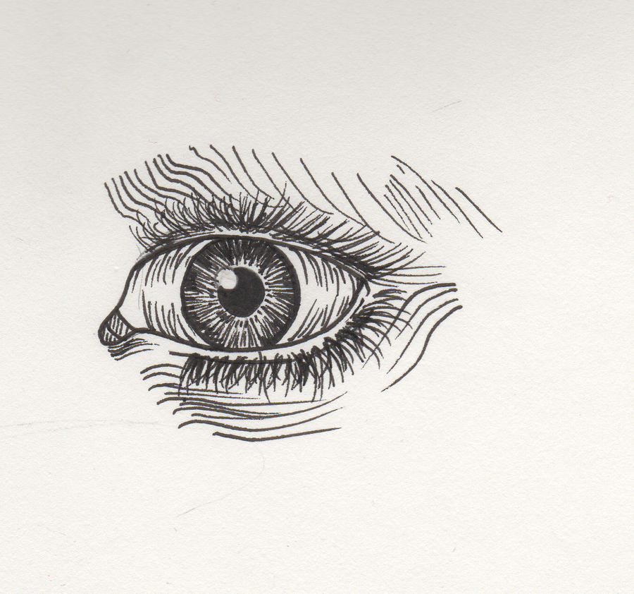 Eye Line Drawing by Pheelip2010 on DeviantArt