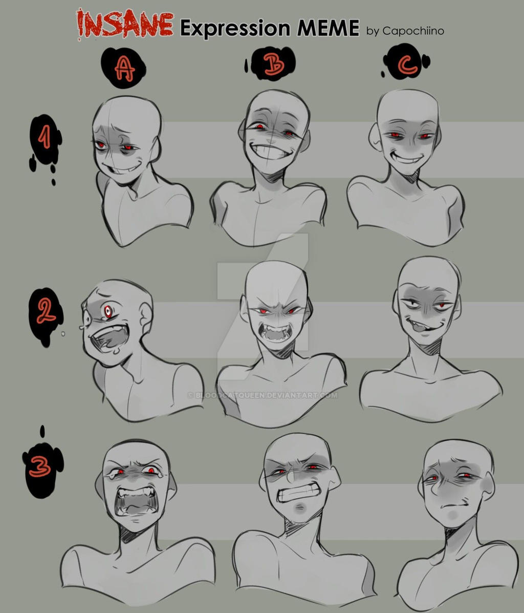 insane_expression_meme_by_bloodcatqueen-