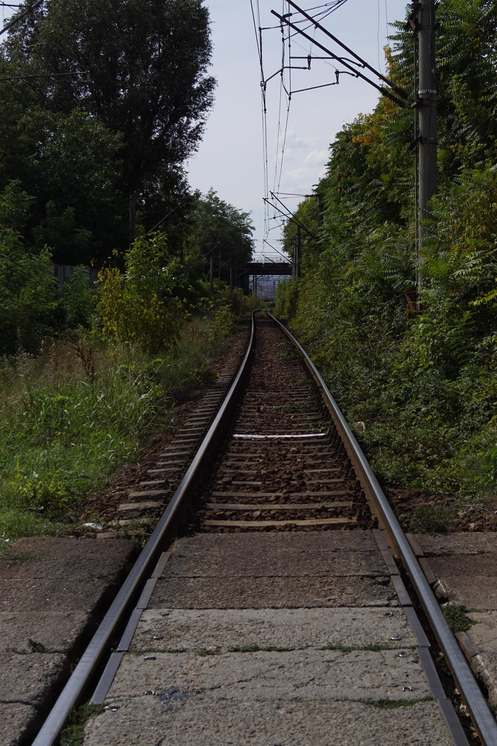 https://img00.deviantart.net/6622/i/2017/263/5/a/dear_railroad__please_take_me_somewhere_far_away_by_methuslahmouse-dbnztaw.jpg