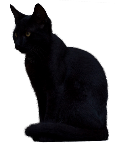 black_cat_2__png__by_ivaxxx-d8hos32.png