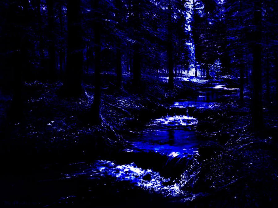 Dark Blue Forest by Phobe-Lee-Art on DeviantArt