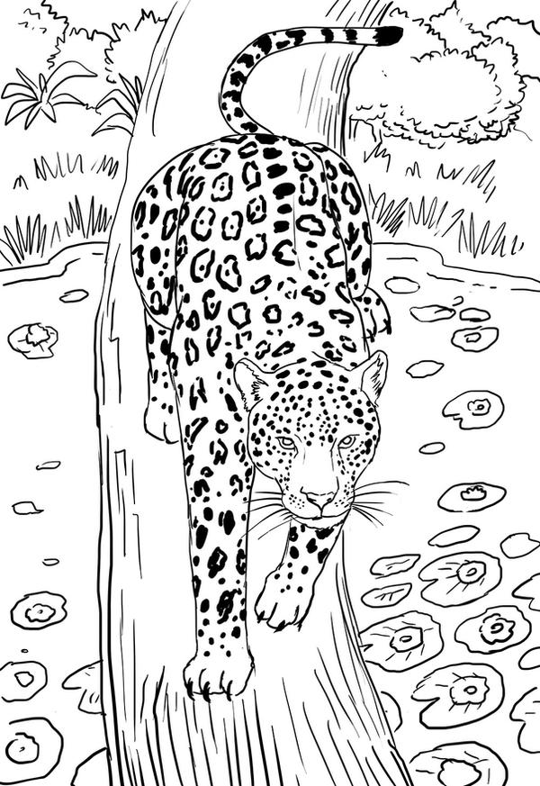 Jaguar Line Drawing by Kamazotz on DeviantArt