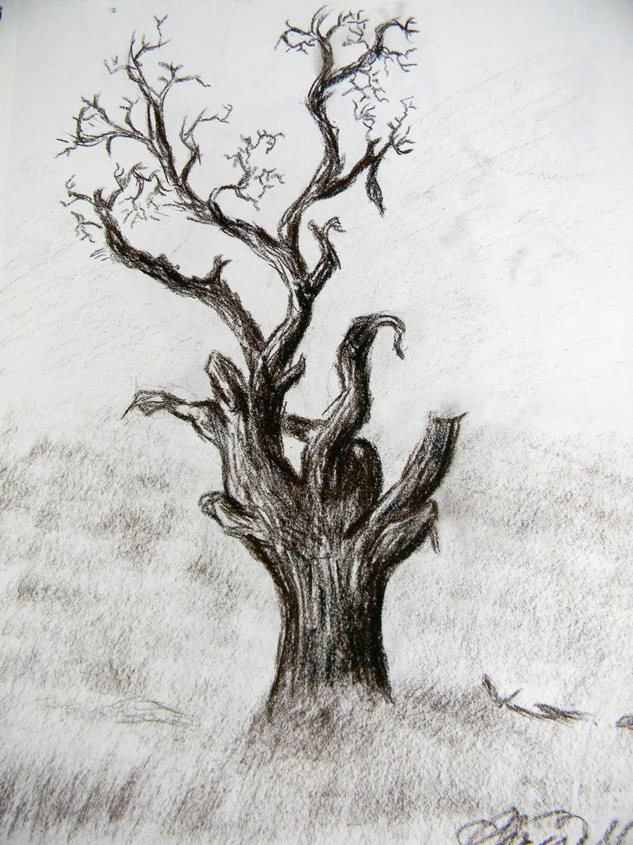 Dead Tree by MavenCN on DeviantArt