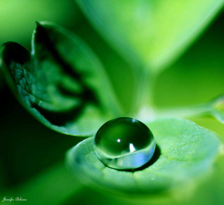 Green Pearl by lilfrogs on DeviantArt