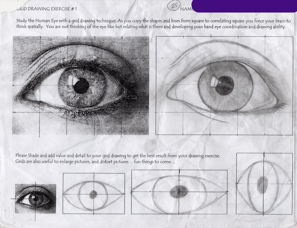 Grid/Eye Study by MelodyTheFandom on DeviantArt