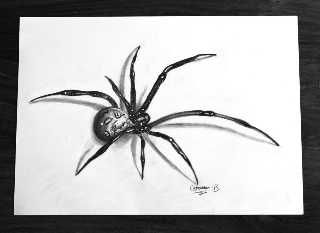 3D Spider drawing by CLGArt on DeviantArt