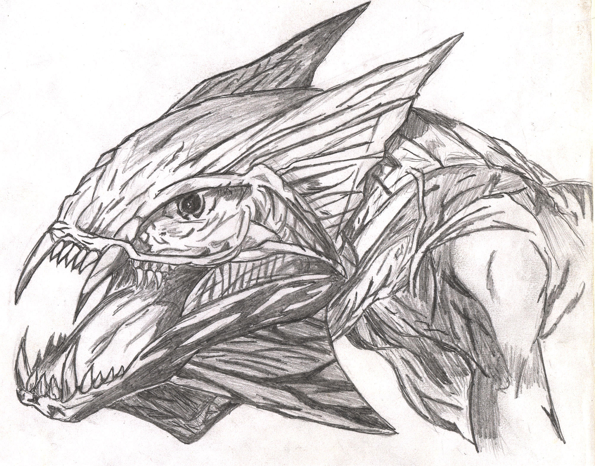 Dragon head sketch by Avantasian on DeviantArt