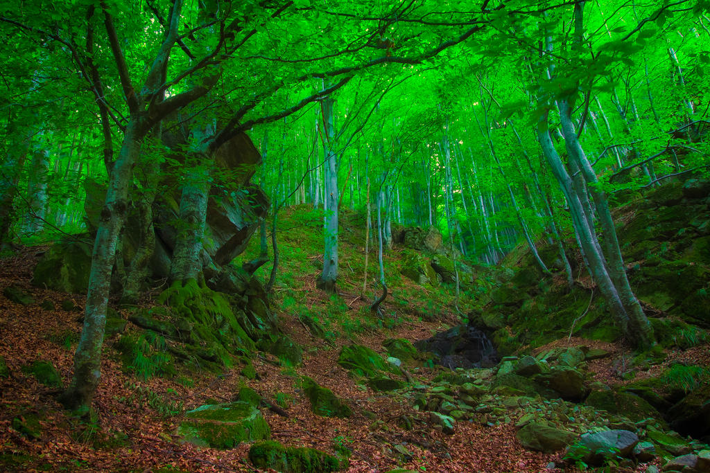 Green mountain forest by mugurelm on DeviantArt
