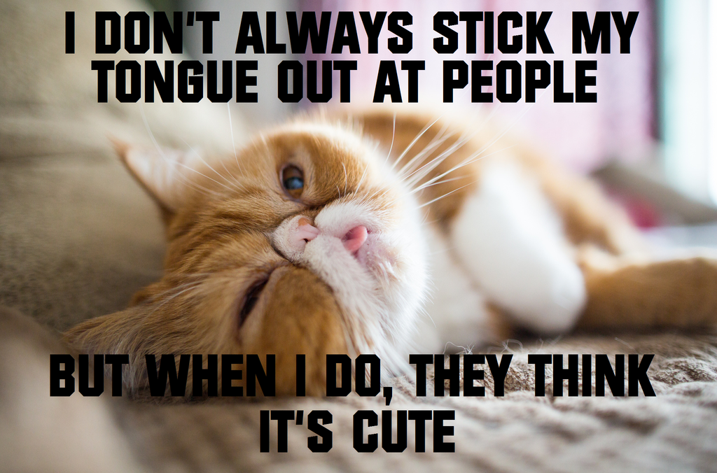 THE MOST INTERESTING CAT: STICKING MY TONGUE OUT by RandomixedTopicz on