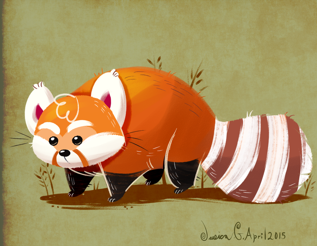 A Red-coated Racoon by JessieDrawz on DeviantArt