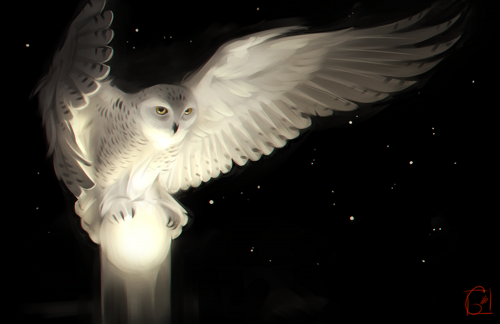  Bestiaire Owl_and_the_moon_by_gaudibuendia-daphew1