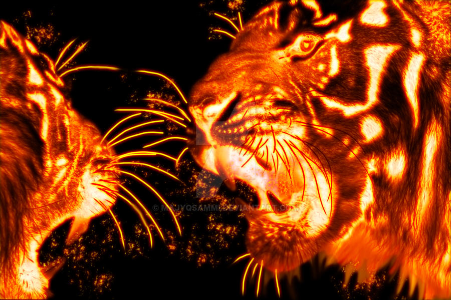 Fire Tigers by MAjYQSammi on DeviantArt