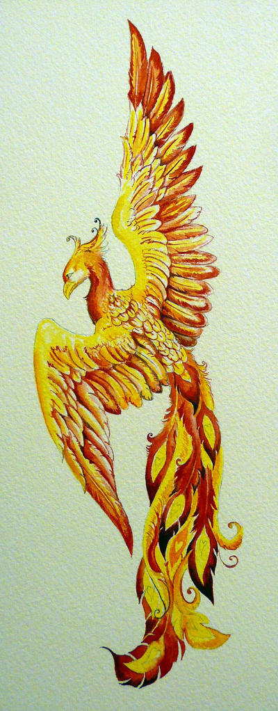 Phoenix - watercolor by Shalladdrin