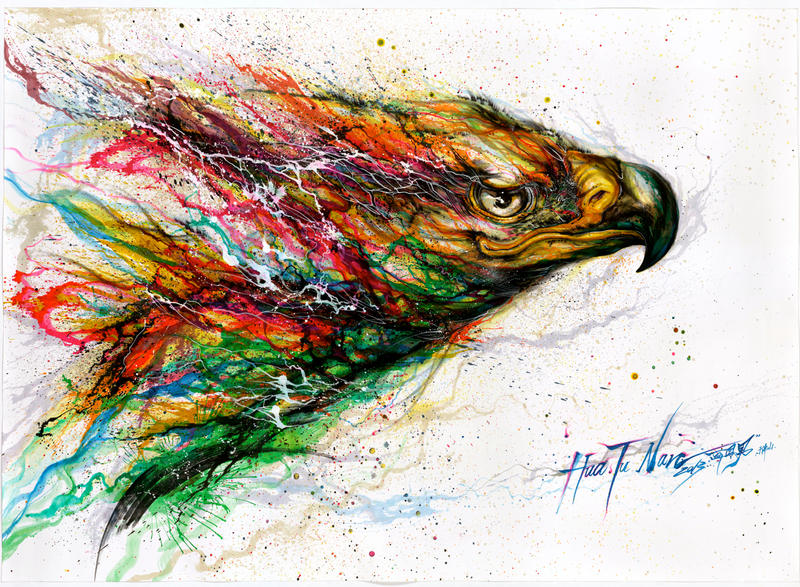 Color Eagle by huatunan