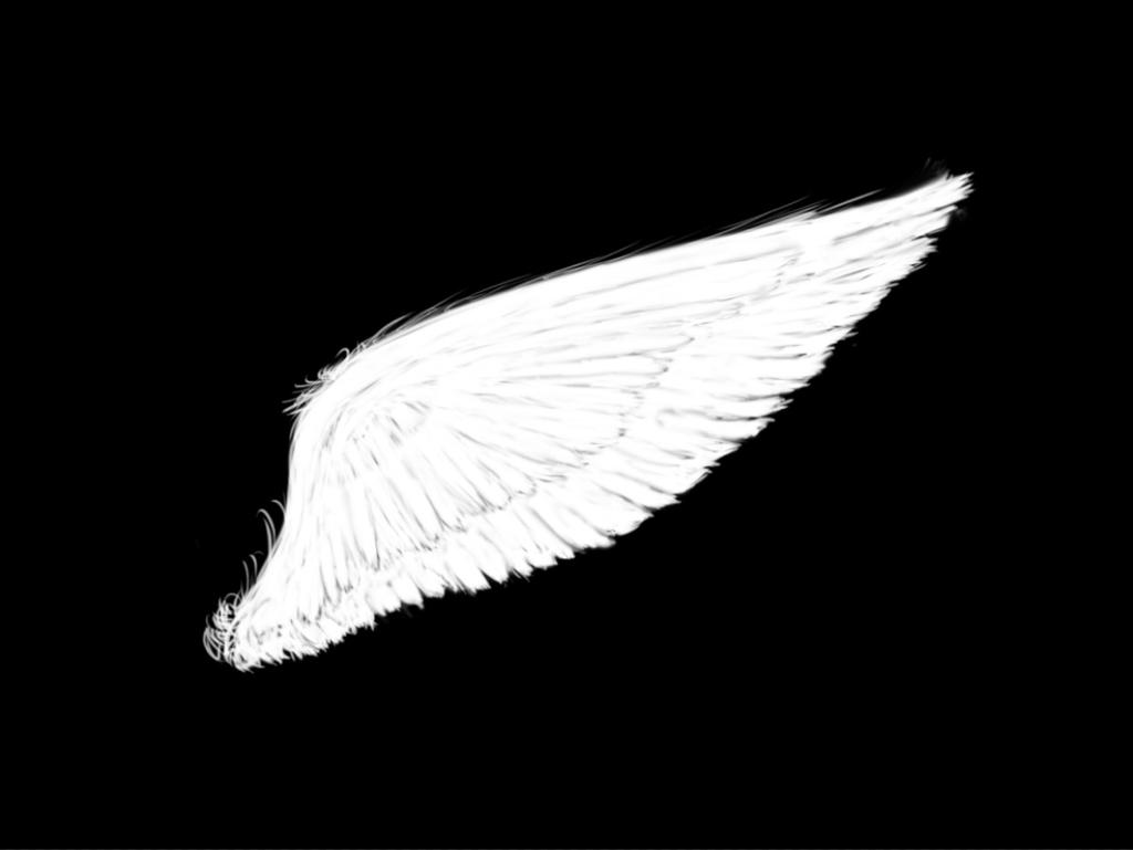 White Wing 1 - Black Background by Tiesiy on DeviantArt
