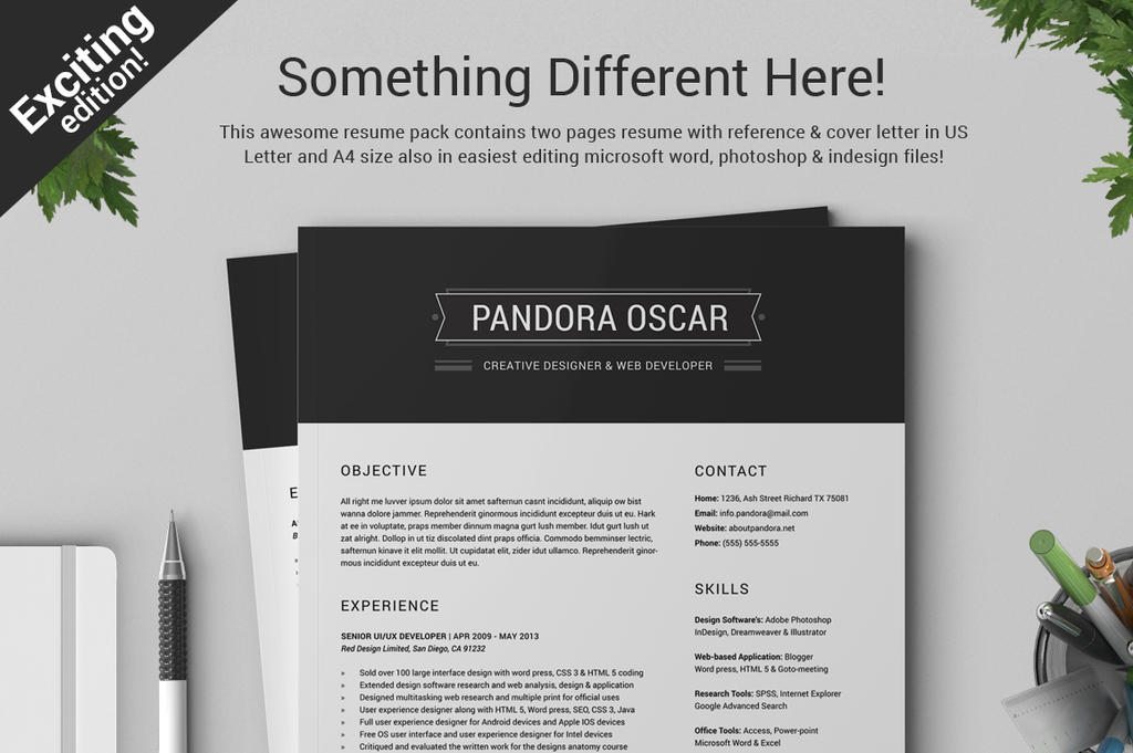 2 pages clean resume cv