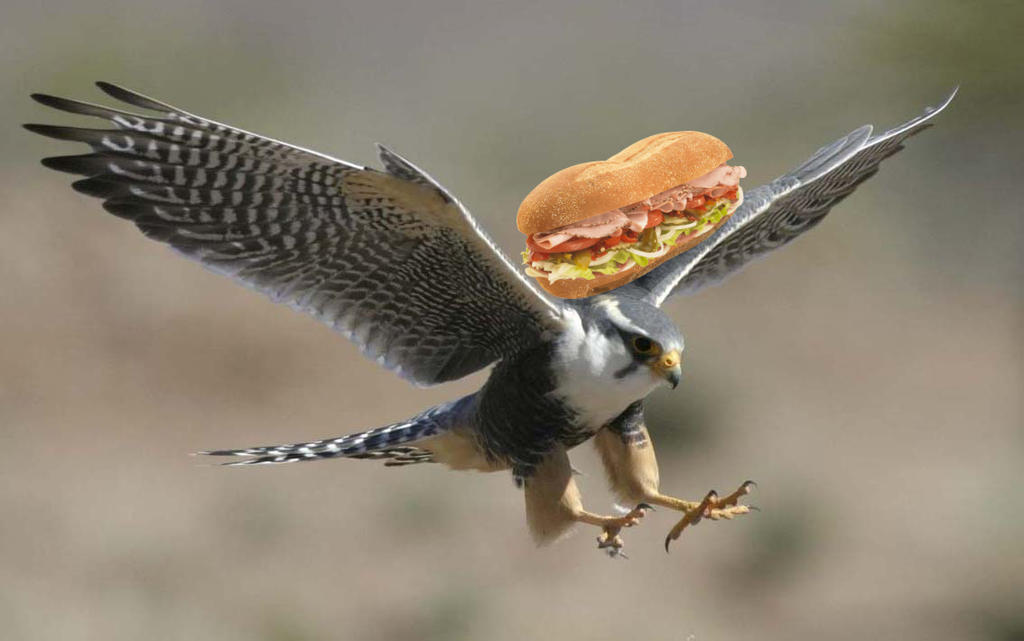 Last one to post wins. - Page 7 Sandwich_on_peregrine_falcon_by_feelingfoxyinaboxy-dbnmxl7