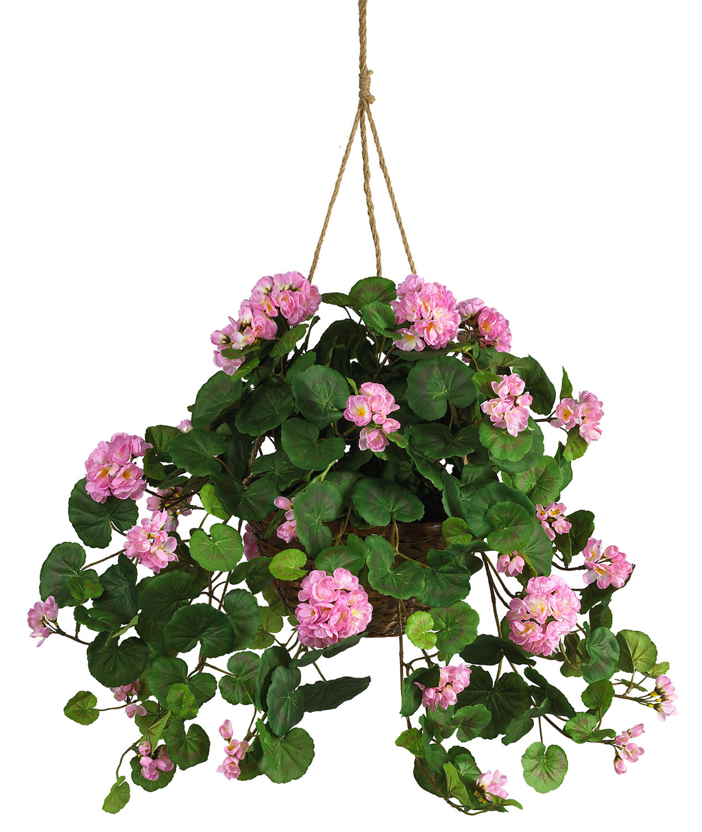 Geraniums-hanging-basket by jasminwtf on DeviantArt