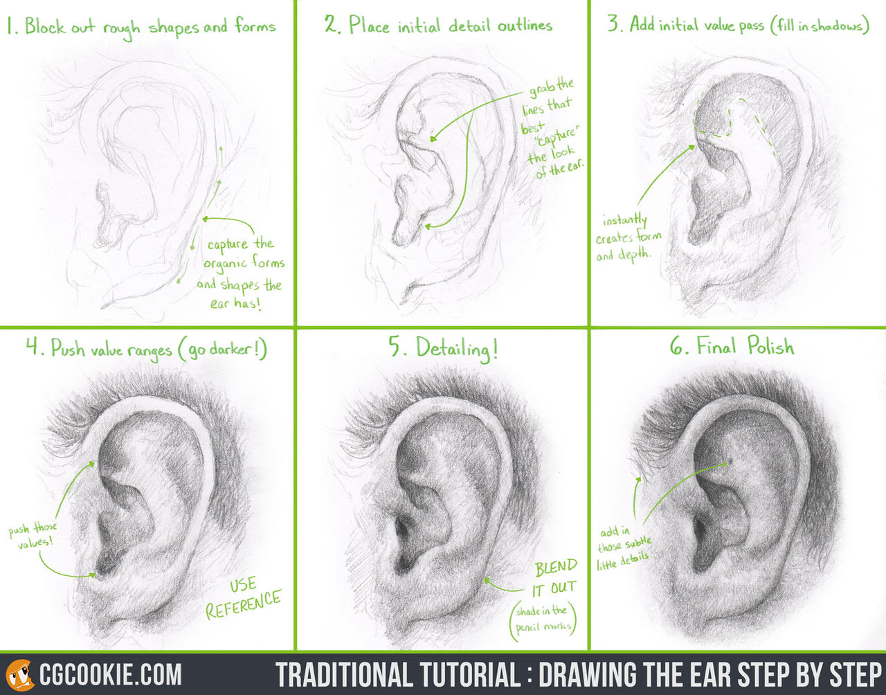 Tutorial Drawing The Ear Step By Step By Cgcookie On Deviantart