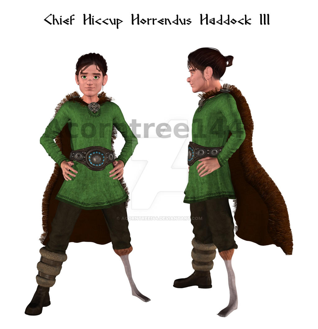 Chief Hiccup (new model) by acorntree144 on DeviantArt
