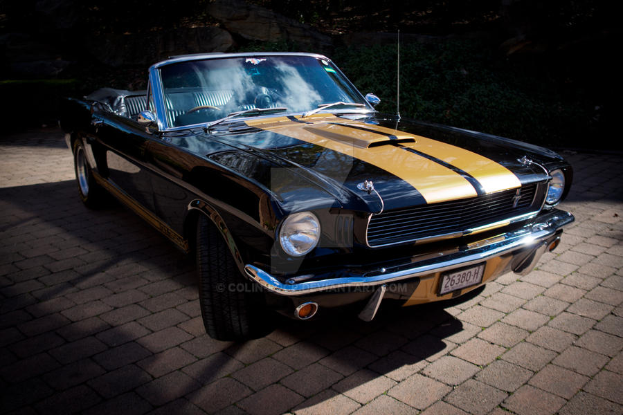 Mustang Magic-Shelby Limited Edition Replica-2 by Colin-LOCP on DeviantArt