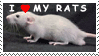 i love rats stamp by Veiled-Studios
