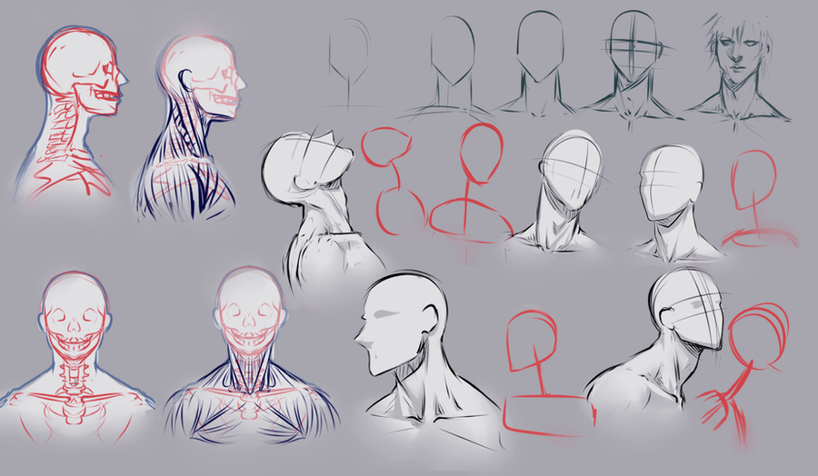 Amazing How To Draw A Long Neck in the world Don t miss out 