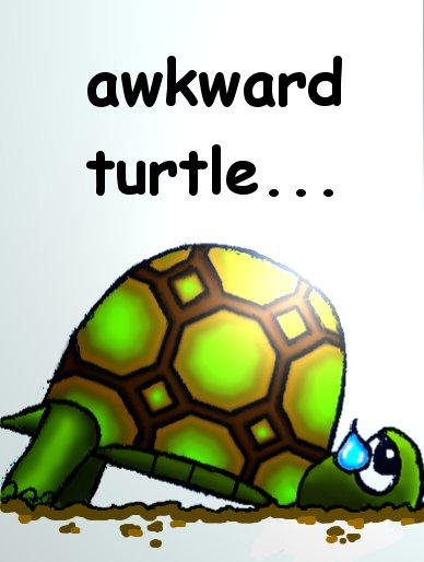 Awkward turtle by penguinluv4ever on DeviantArt Awkward Turtle Wong Fu