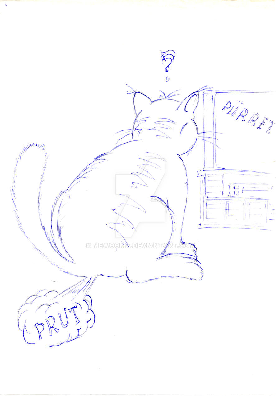 Cat Fart by MewOoma on DeviantArt