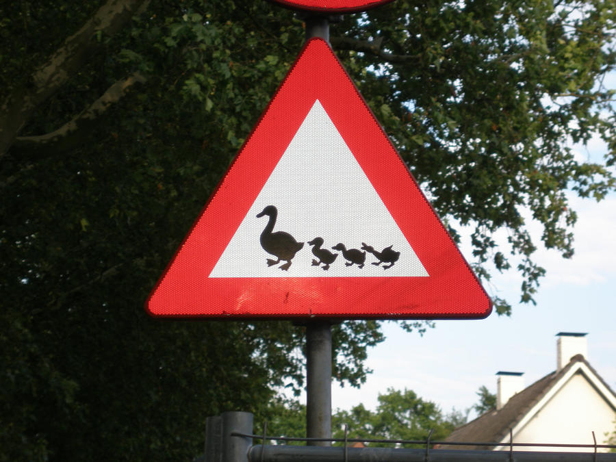 ducks_crossing_the_street_sign_by_dk_artist.jpg