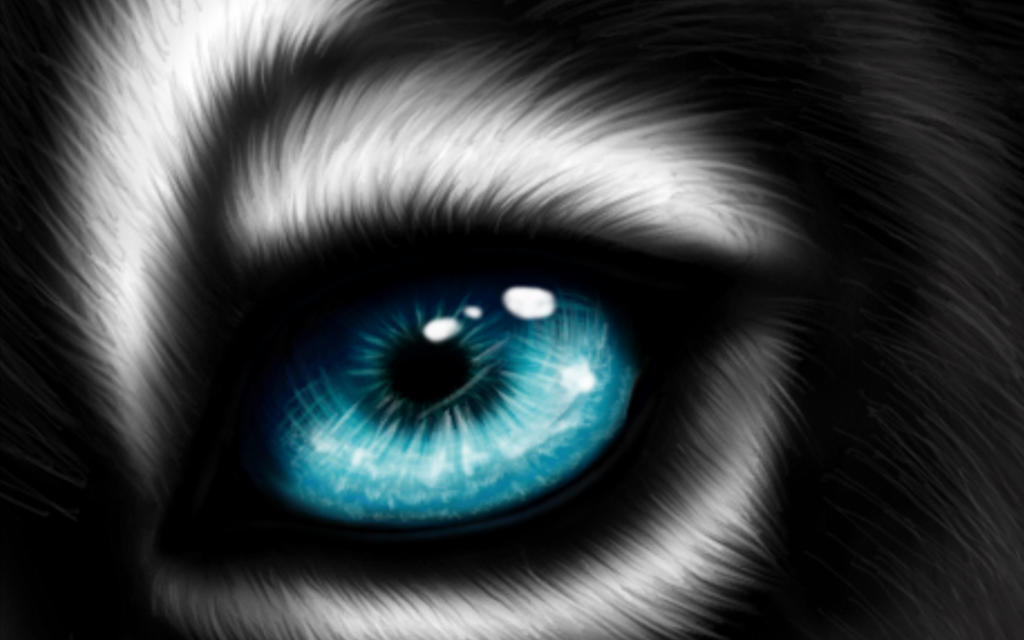 Wolf Eye by The-Lone-Wolf2 on DeviantArt