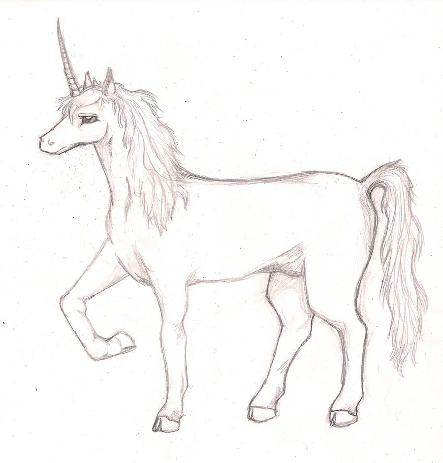 Unicorn Sketch by samuraXIV on DeviantArt