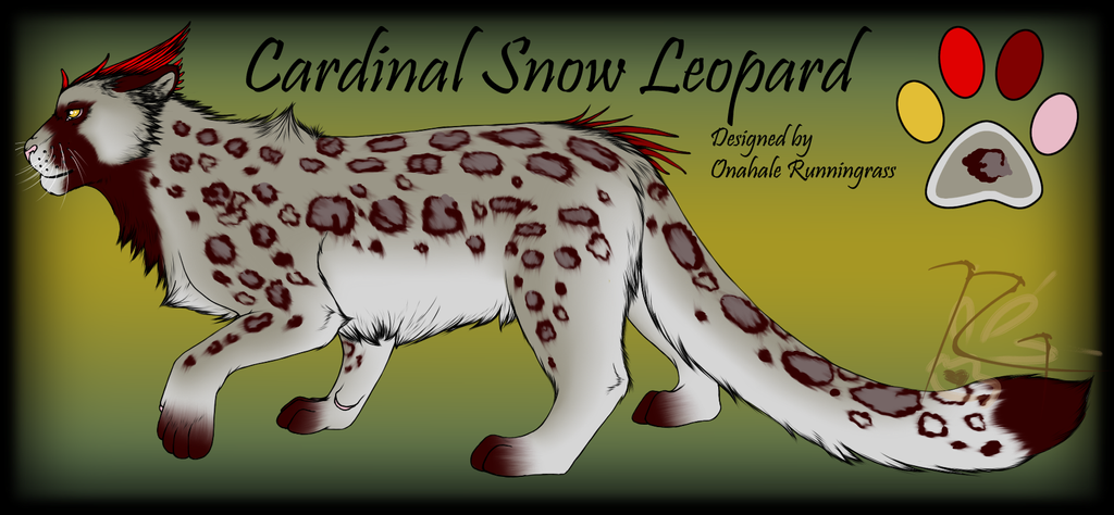 Cardinal Snow Leopard Hybrid Design for Taravia by ...