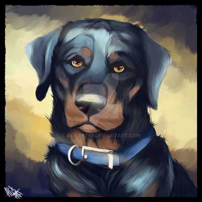 rotttie_commission_by_alisart99-dcok9qn.png