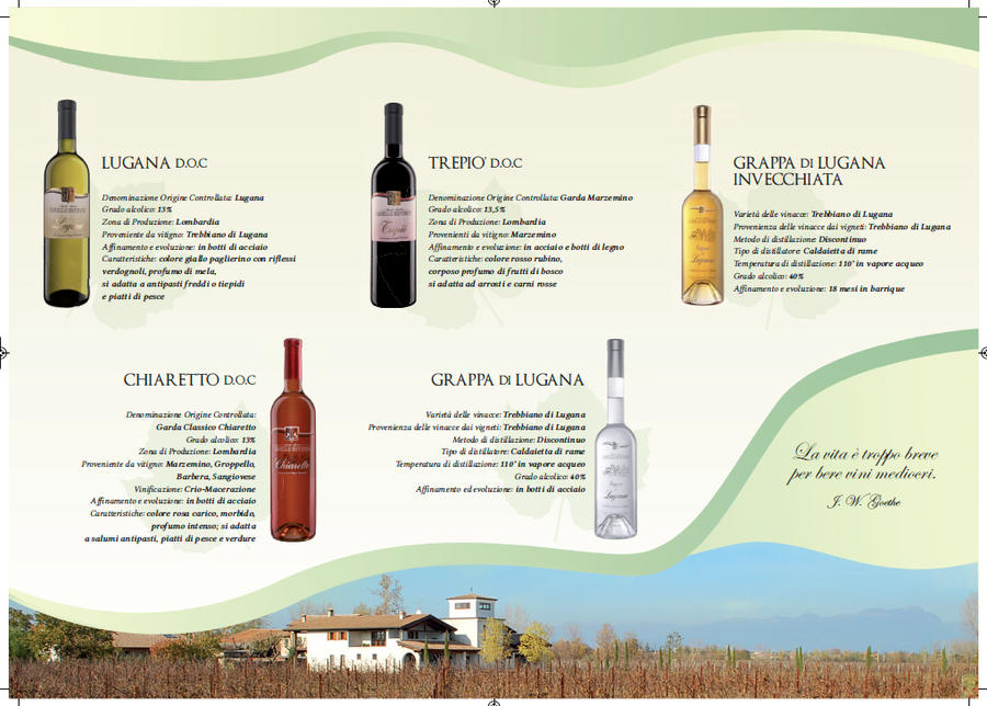 Wine Brochure - Back by albyriccio on DeviantArt