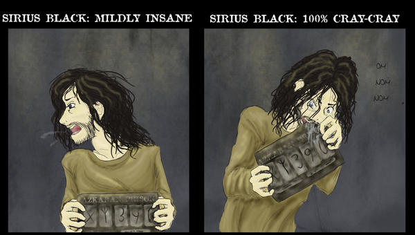 HP: Sirius Black: Difference by Midnight-neko on DeviantArt