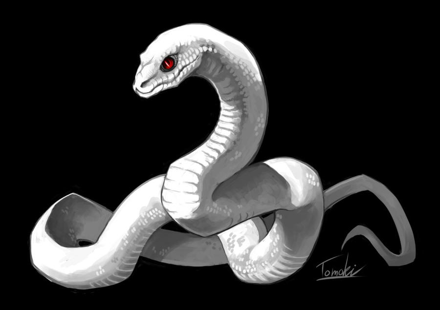 Image result for anime snake