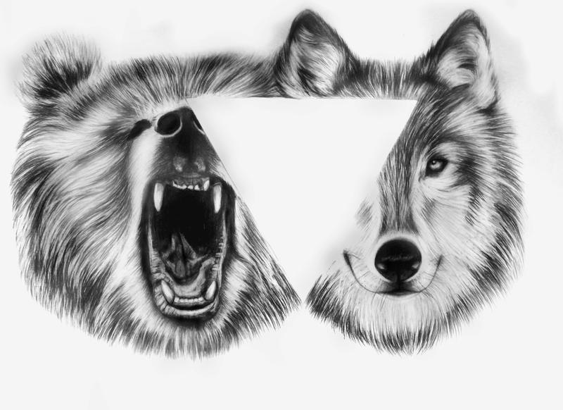 Bear and wolf by Li11y on DeviantArt