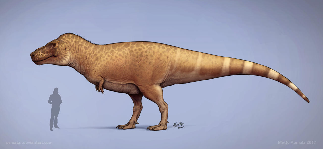 Image result for t rex sue reconstruction osmatar