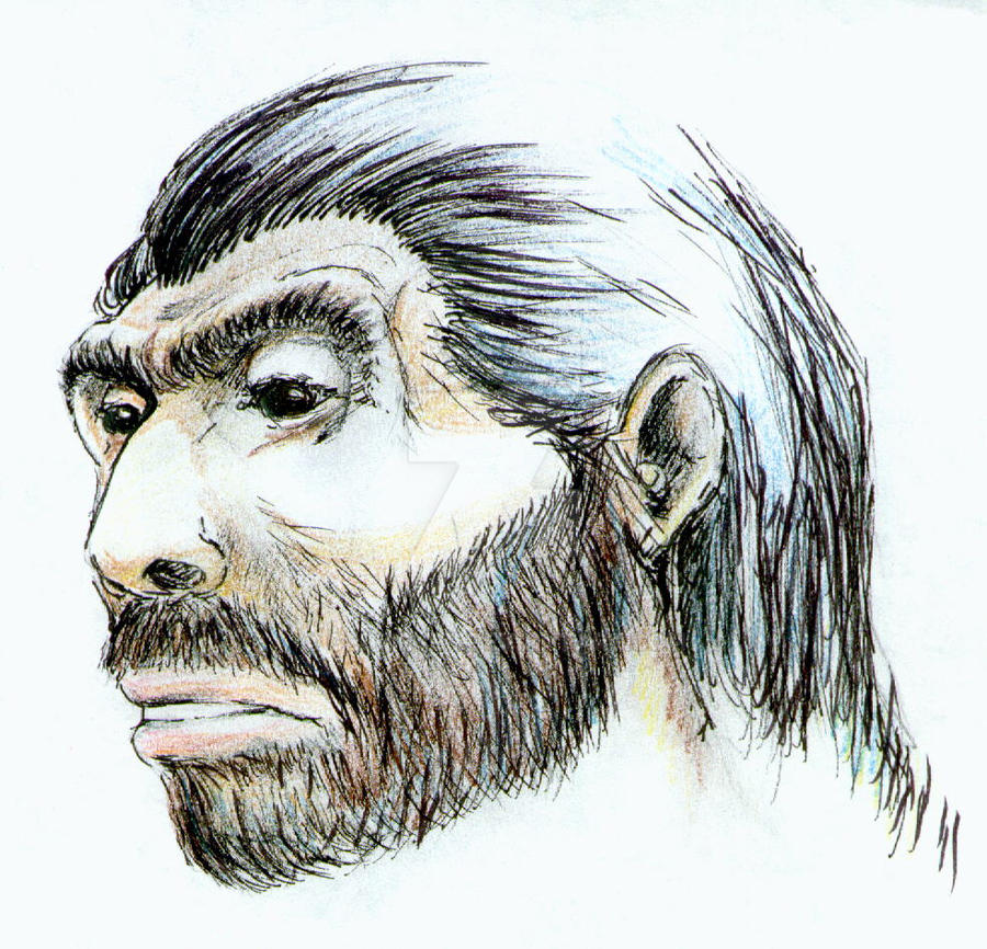 Neanderthal Man Drawing
