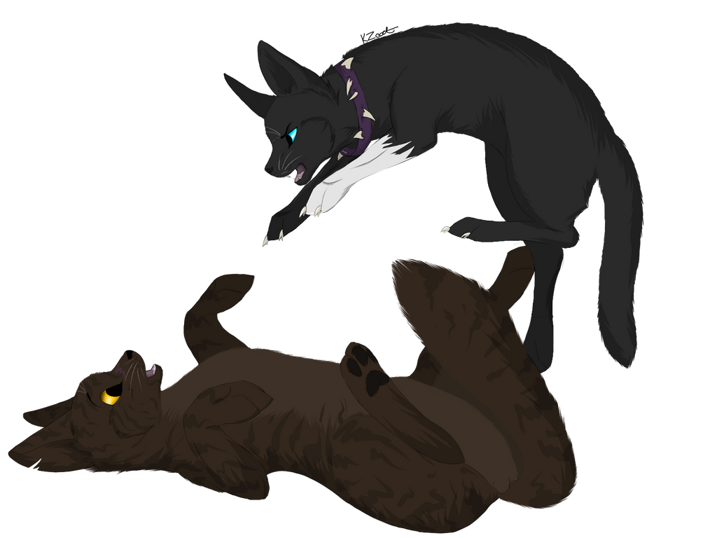 warrior cats coloring pages scourge x - photo #42