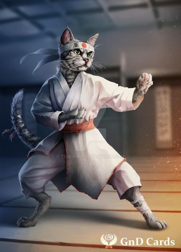 https://img00.deviantart.net/aa57/i/2017/069/0/2/karate_cat_by_tira_owl-d8vlefv.jpg