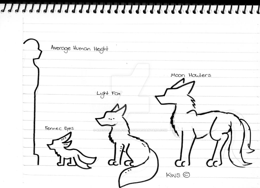 My Fox Species Size Chart by KrestenaWolfShadow on DeviantArt