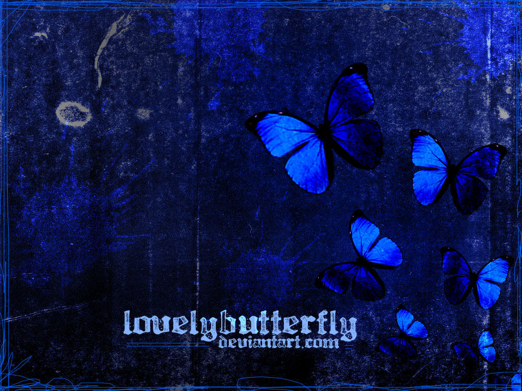 butterflies in the night by lovelybutterfly on DeviantArt