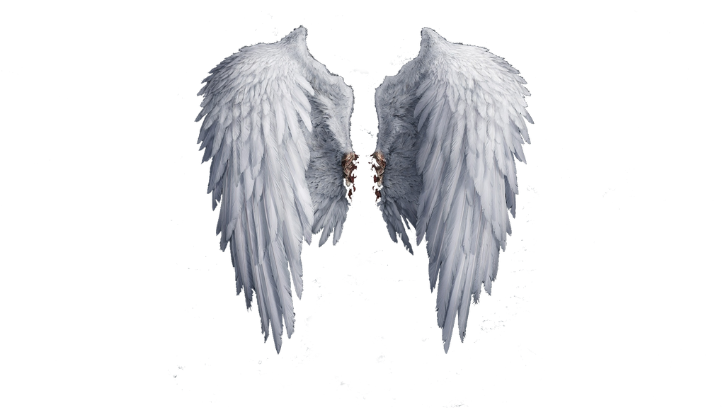 Angel Wings PNG by BlazMuffin on DeviantArt